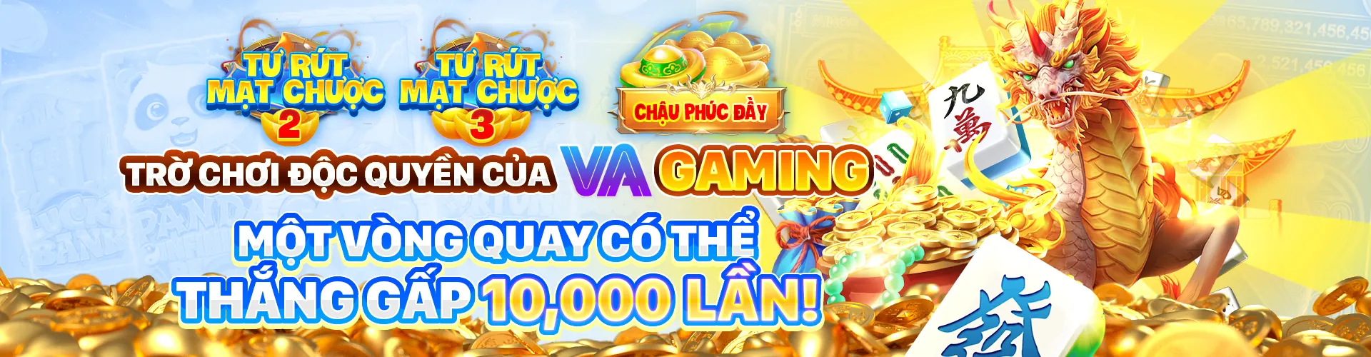 Ứng dụng Mocbai Code trên điện thoại